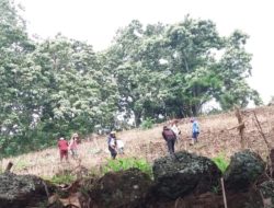 Diduga Langgar Kesepakatan Damai, LSM TKP Bantaeng Desak Polisi Tindaklanjuti Laporan Saria