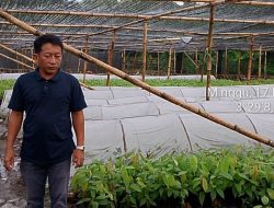 LKPA Soroti Dugaan Ketidaksesuaian Pengadaan Bibit Kakao Kementan di Sulsel