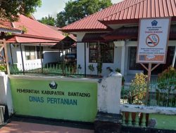 Menyoal Transparansi Kuota BBM Bagi Petani di Bantaeng, Ini Penjelasan Kadis Pertanian