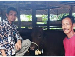 Dari Tanah Tandus Menuju Kemandirian Kisah Kelompok Tani Hamparan Erasaya dan Perjuangan Bangun Masa Depan