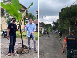 Jalan Rusak Tak Kunjung Diperbaiki, Warga Ereng-Ereng Tanam Pohon sebagai Simbol Protes*