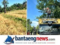 Idris Reformasi: Petani Bantaeng Menanti Realisasi Janji Ketersediaan Air di Tengah Ancaman Kemarau