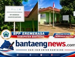 Penyuluh BPP Eremerasa Andi Kaimal Ahmad Beberkan Teknik Lengkap Menghasilkan Bibit Durian Unggul Berkualitas