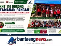 KKNT 116 Dorong Keamanan Pangan di Bonto Rannu, Bentuk Kader dan Perkuat UMKM Desa