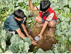 Lubang Kecil, Manfaat Besar: KKN-T 116 Unhas Gerakkan Biopori di Bonto Marannu