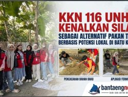KKN 116 UNHAS Kenalkan Silase sebagai Alternatif Pakan Ternak Berbasis Potensi Lokal di Batu Karaeng