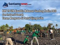 KKN 79 UIN Alauddin Makassar Gandeng Kodim 1410 dan Instansi Daerah Tanam Mangrove di Pantai Ujung La’bu