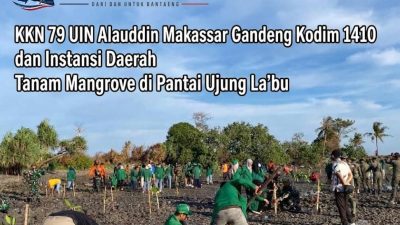 KKN 79 UIN Alauddin Makassar Gandeng Kodim 1410 dan Instansi Daerah Tanam Mangrove di Pantai Ujung La’bu
