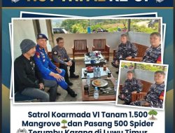 HUT TNI AL ke-81, Satrol Koarmada VI Tanam 1.500 Mangrove dan Pasang 500 Spider Terumbu Karang di Luwu Timur