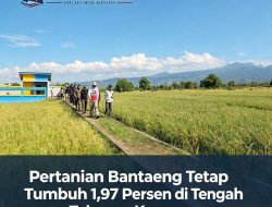 Pertanian Bantaeng Tetap Tumbuh 1,97 Persen di Tengah Tekanan Kemarau